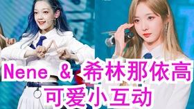 逃离蜥蜴森林