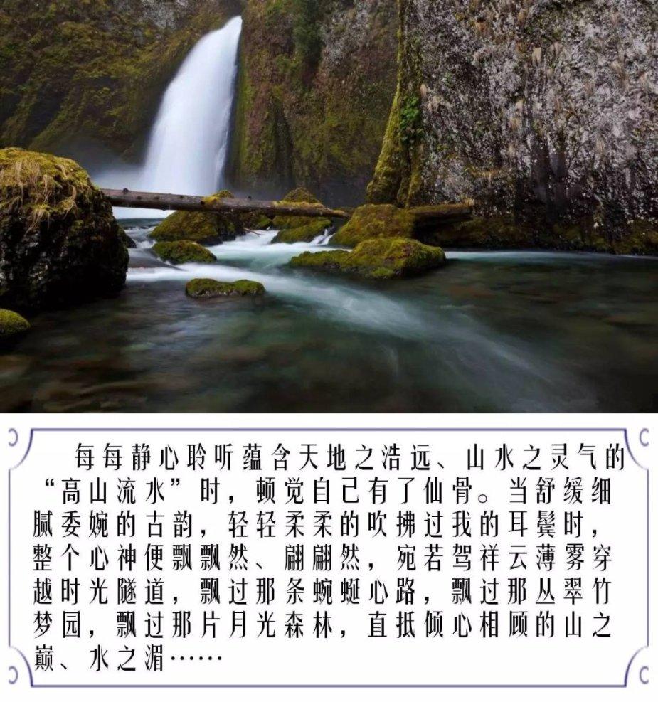 动物帮帮忙保卫家园