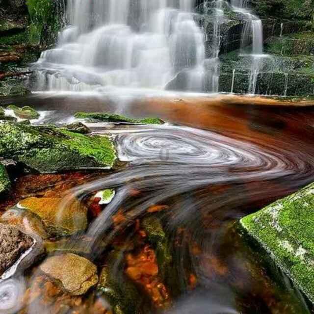 迷失在荒野