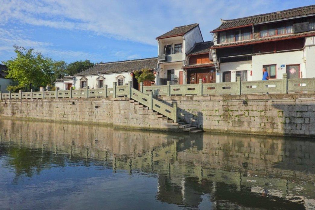 动物帮帮忙保卫家园